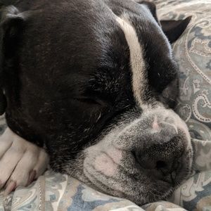 Meet your Posher, Deanna